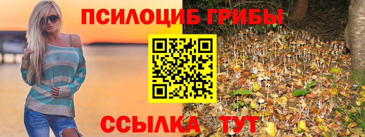 Псилоцибиновые грибы прущие грибы  Вход с VPN  Донской 